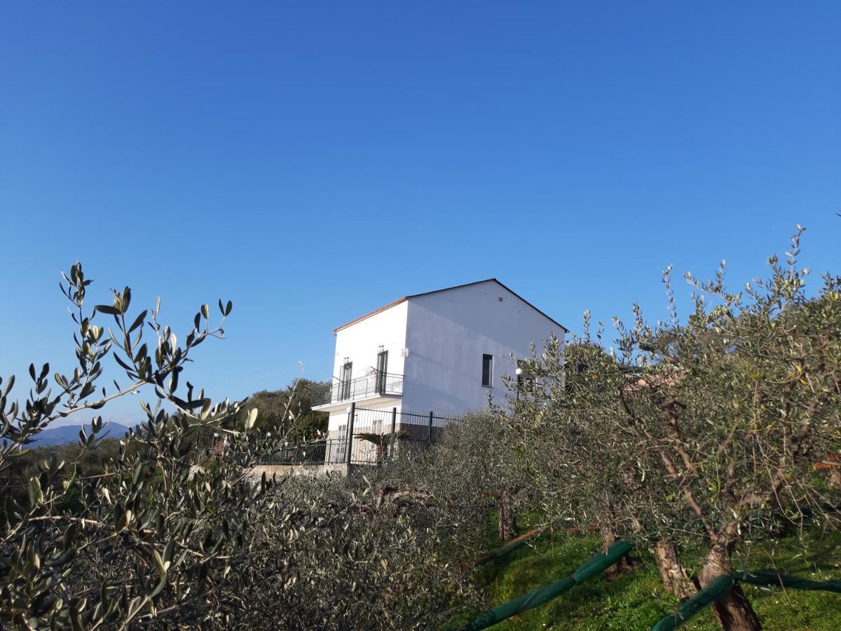 Sarina House Ocean View Βίλα Lavagna Εξωτερικό φωτογραφία